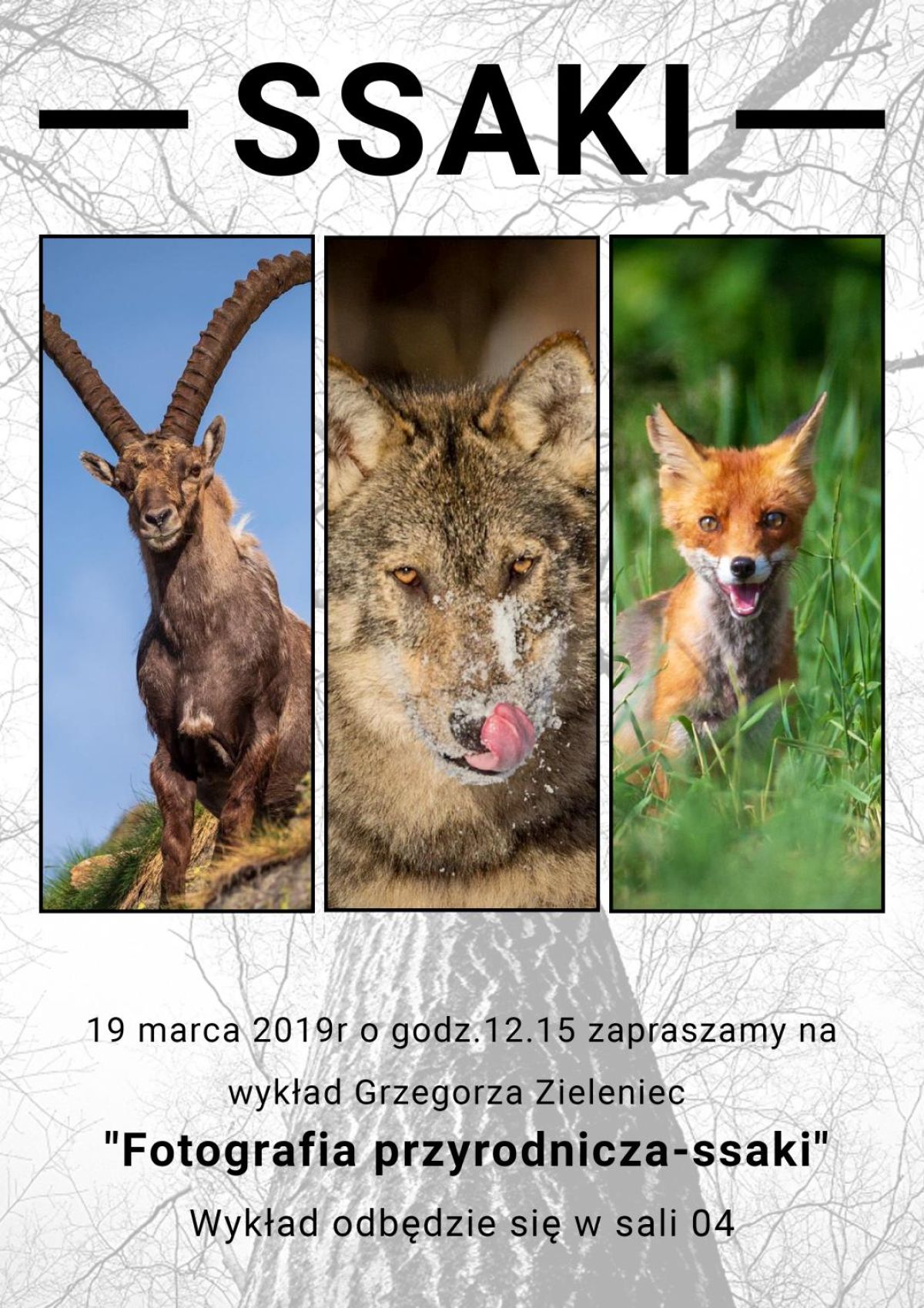Fotografia przyrodnicza - ssaki - wykład