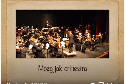 Zajęcia on-line: Trening pamięci - 7.10.2020